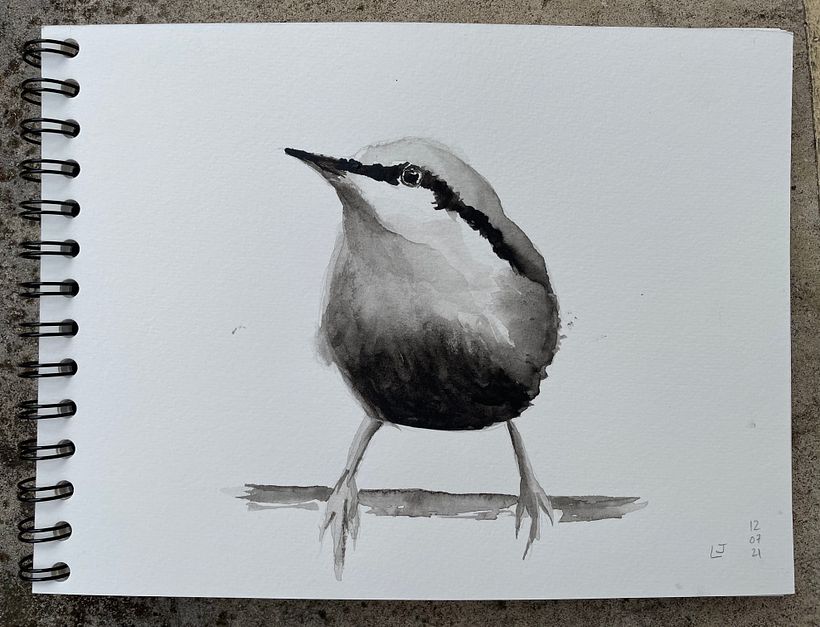 Followed along with the video, will do it again paying more attention to the photo reference.