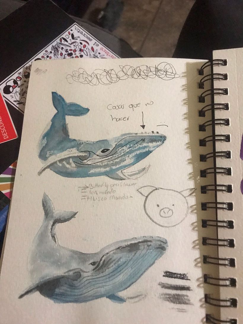 me gusto mucho la ballena de abajo