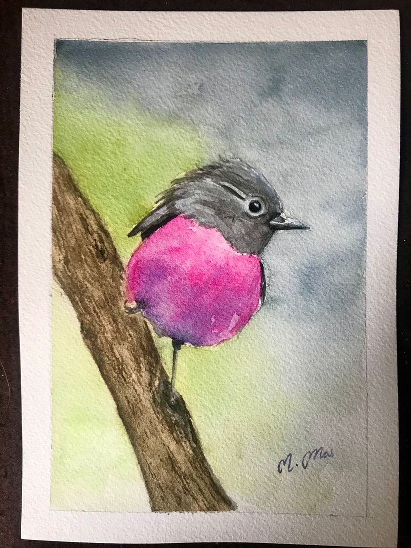 Mi Proyecto del curso: Acuarela artística para ilustración de aves 4