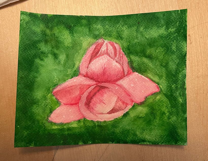 Tulip tree blossom (watercolor) 1