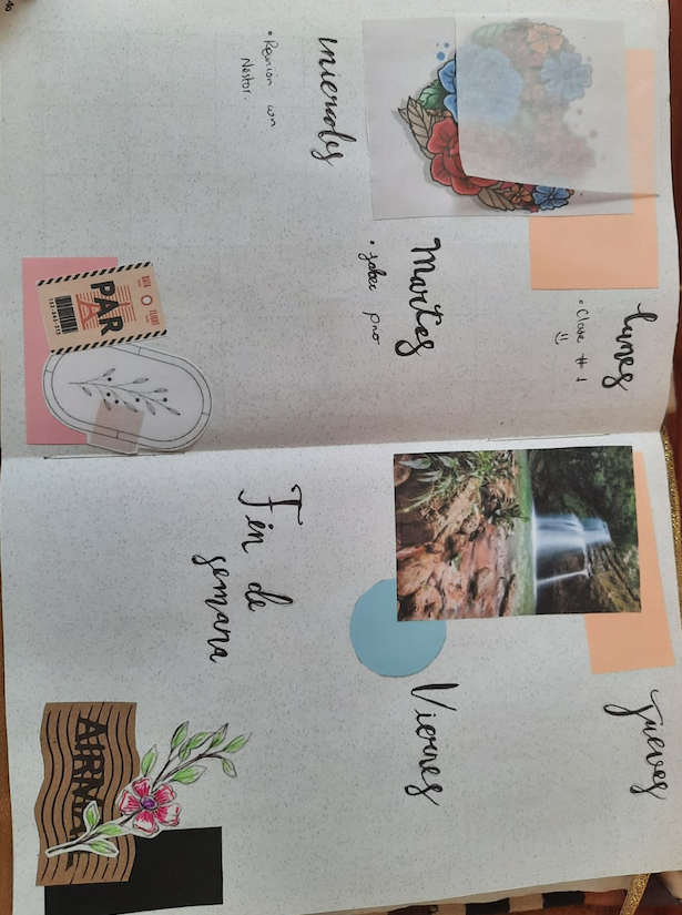 Mi Proyecto del curso:  Bullet journal creativo: planificación y creatividad  7