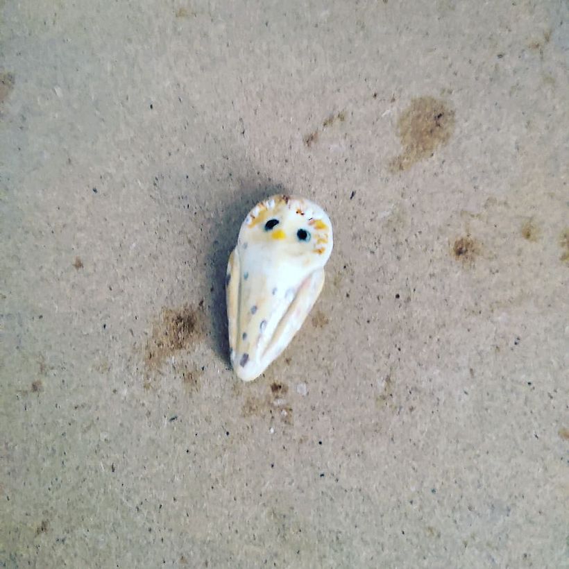 Meu projeto do curso: Criação de joalheria com polymer clay 5