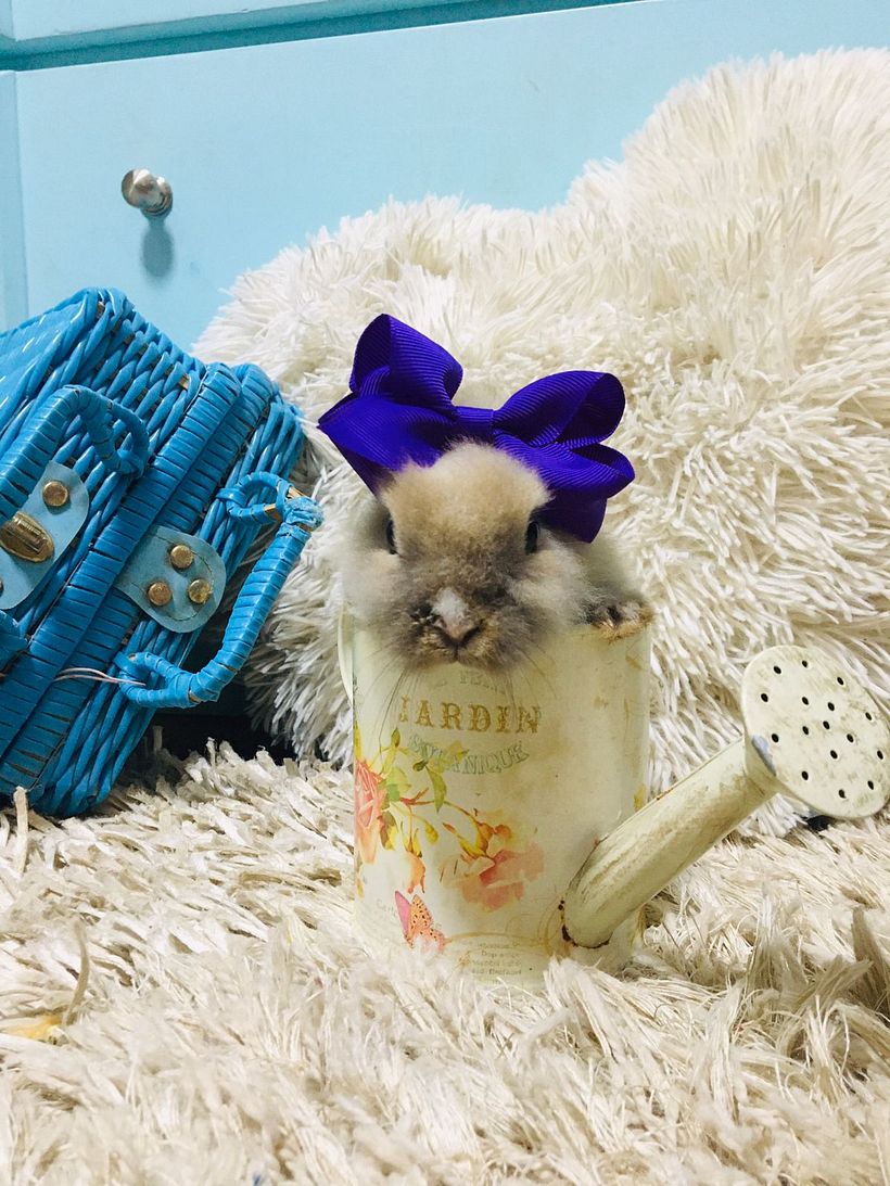 Una fotito vintage 🐰