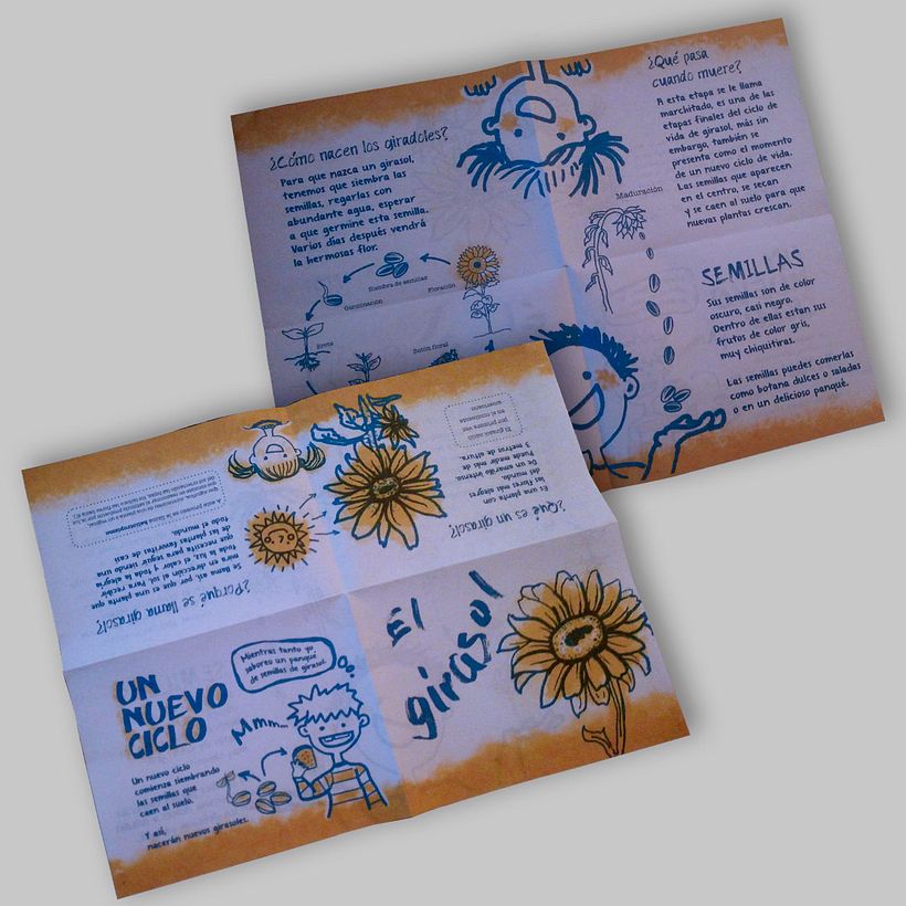 Frente y vuelta de hoja carta. Proyecto El Girasol. ¿Qué es un girasol?