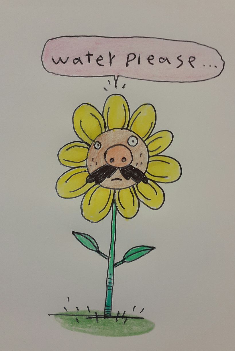 Mr. Flower 1