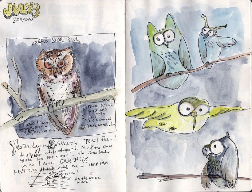 Drawing a bird from a reference photo and from imagination