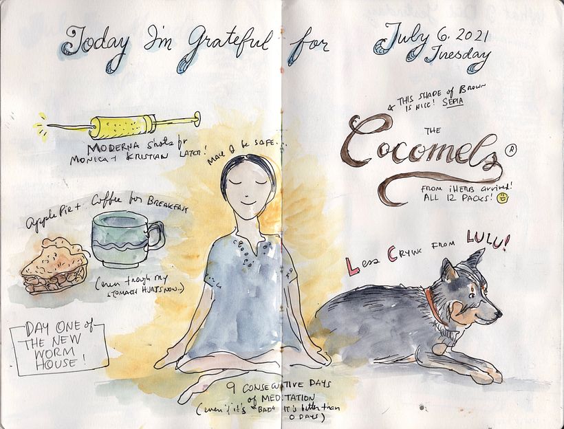 Gratitude journal 