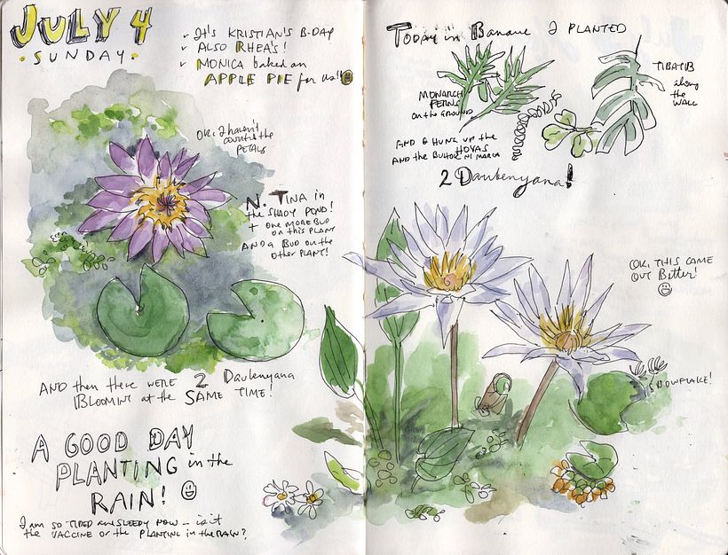 Illustrated day using reference photos