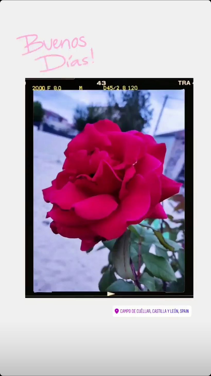 Mi Proyecto del curso: Creación y edición de contenido para Instagram Stories 1
