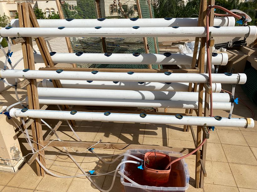 This is the Hydroponic System in Operation