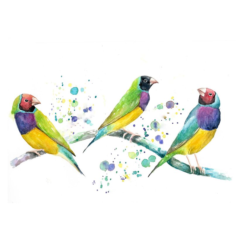 Mi Proyecto del curso: Acuarela artística para ilustración de aves 2
