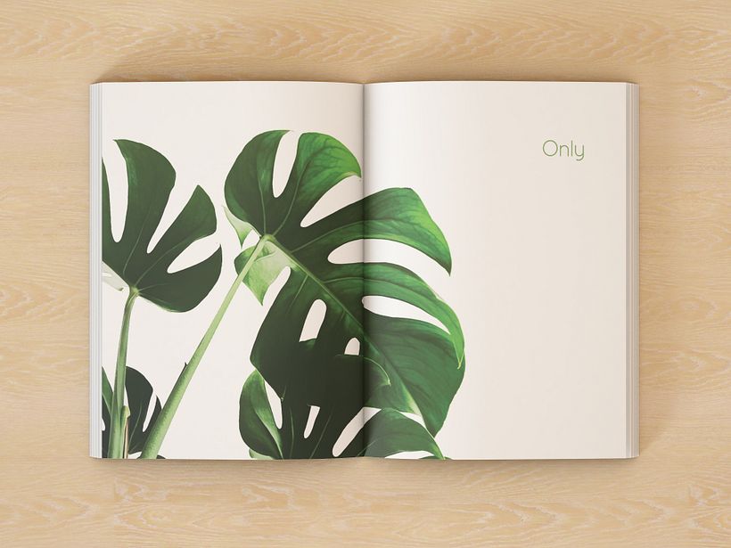 Only Design Studio Promotional book design 2