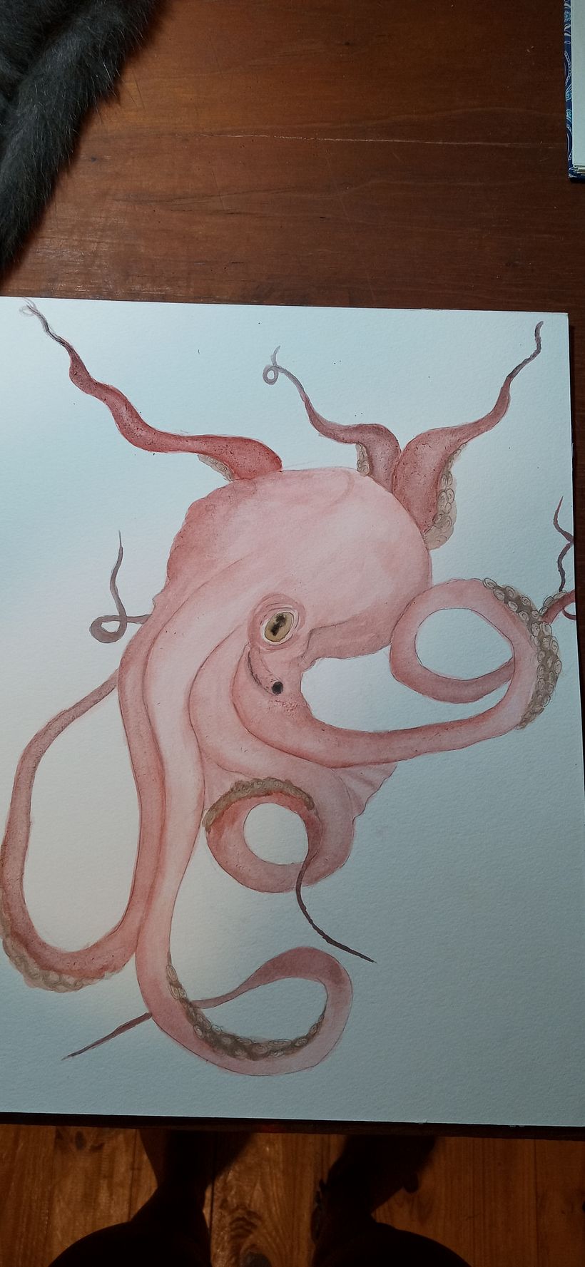 pulpo hecho solo con acuarela