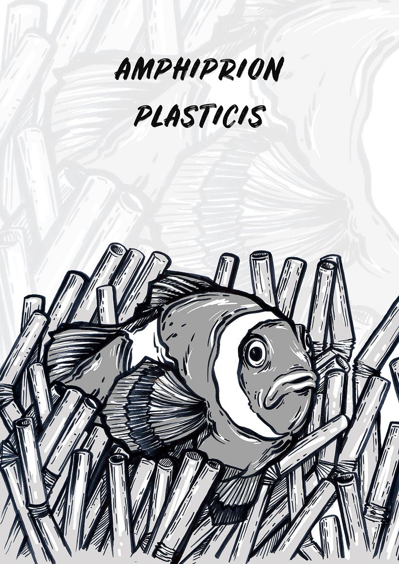 amphiprion plasticis
