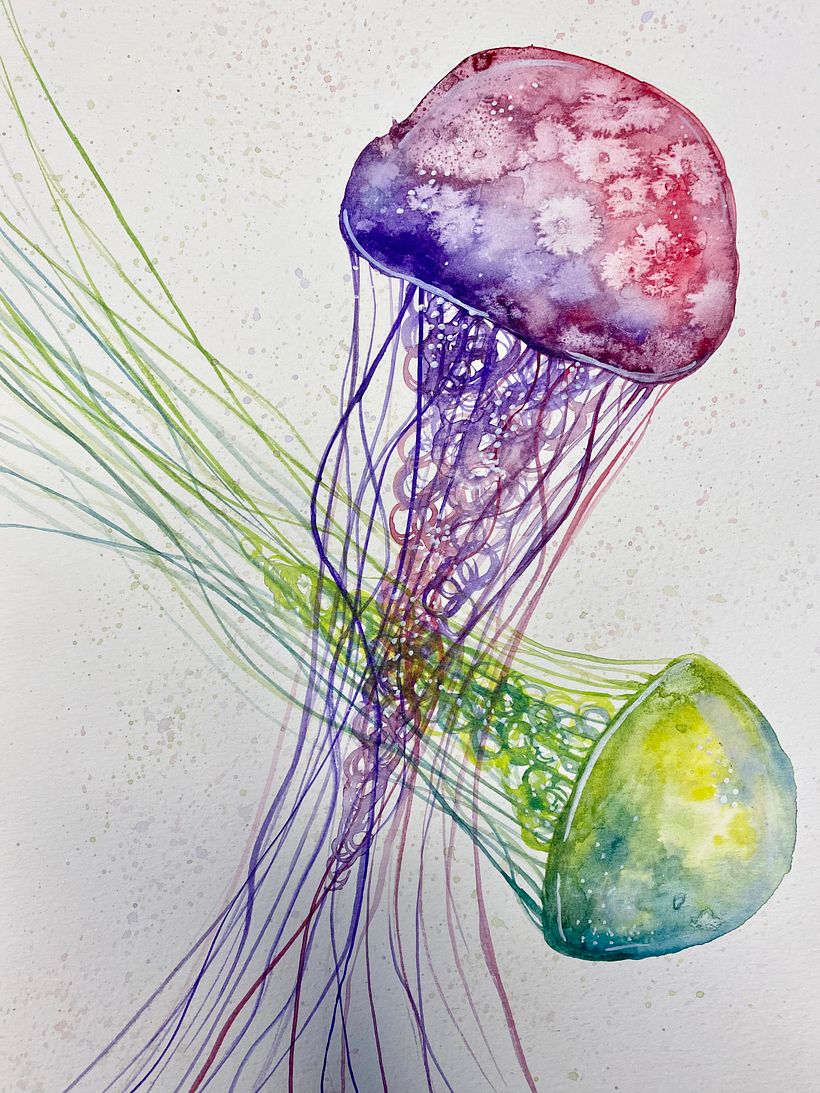 Mon projet du cours : Techniques modernes d’aquarelle 8