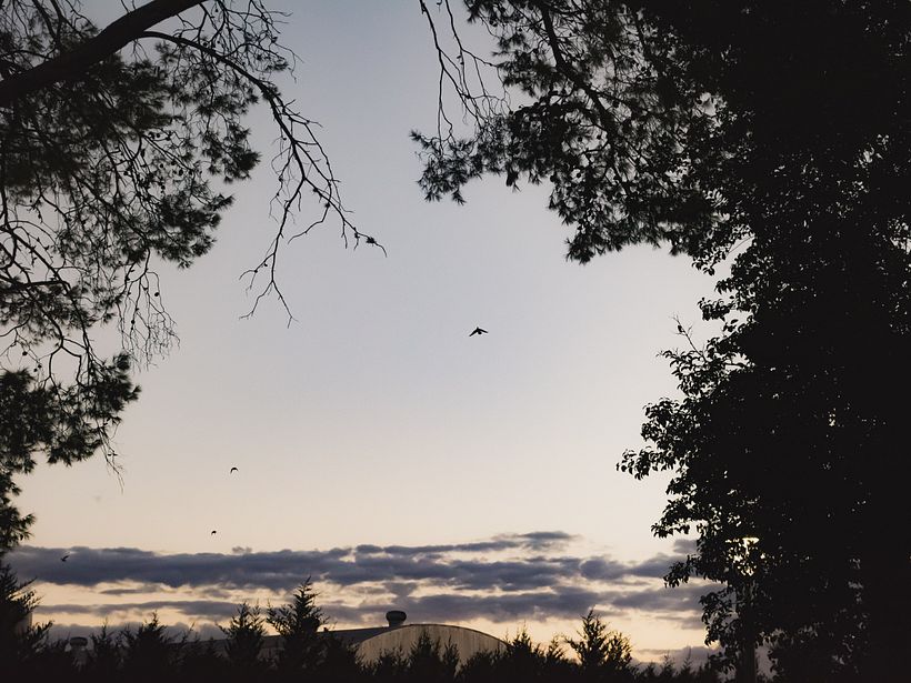 Mi Proyecto del curso: Fotografía para principiantes: descubre tu cámara digital 5