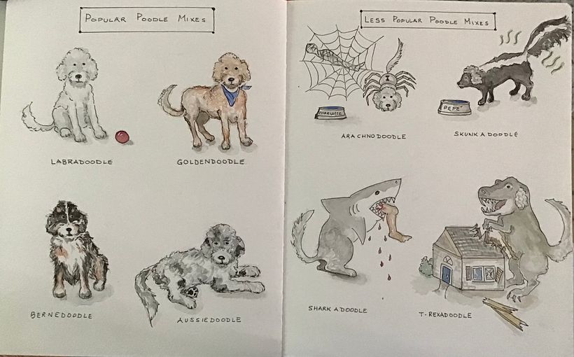 My project in The Art of Sketching: Transform Your Doodles into Art course 3