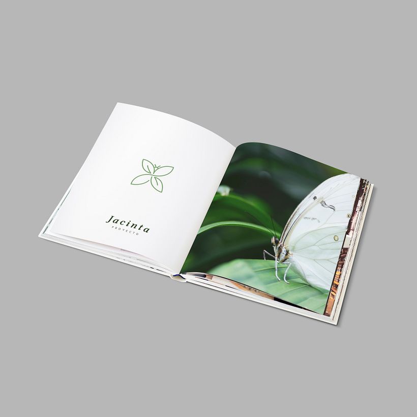 Diseño de identidad / Proyecto Jacinta: Albergue de plantas y pequeños animales 2