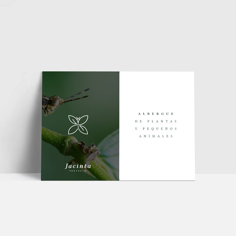 Diseño de identidad / Proyecto Jacinta: Albergue de plantas y pequeños animales 5