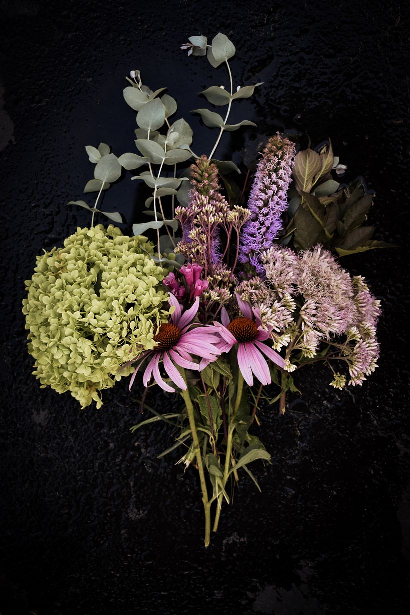 Los colores claros pueden colaborar a establecer un punto focal. Foto: Unsplash.