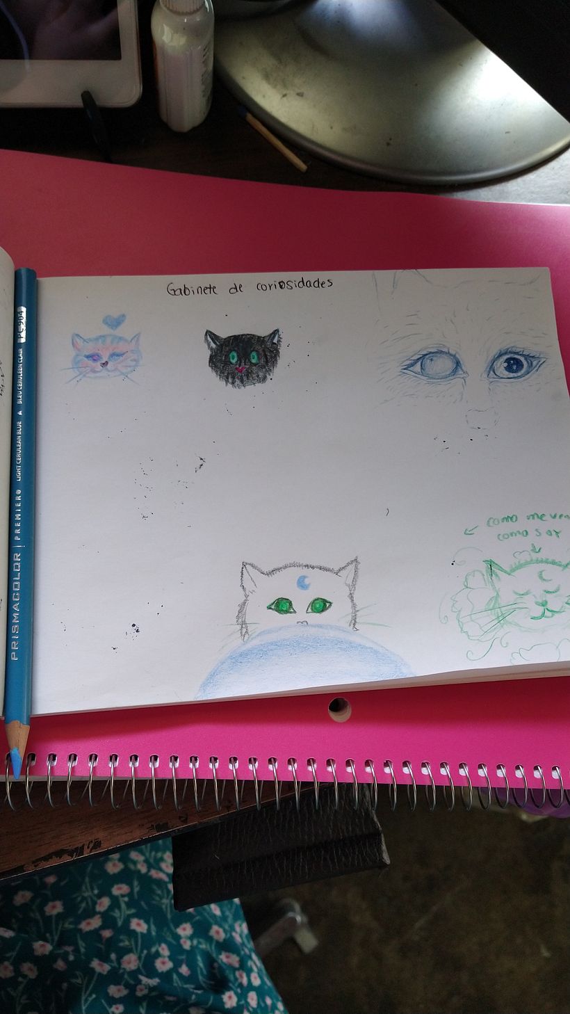 Mi Proyecto del curso: Cuaderno de dibujo como laboratorio de ideas 16
