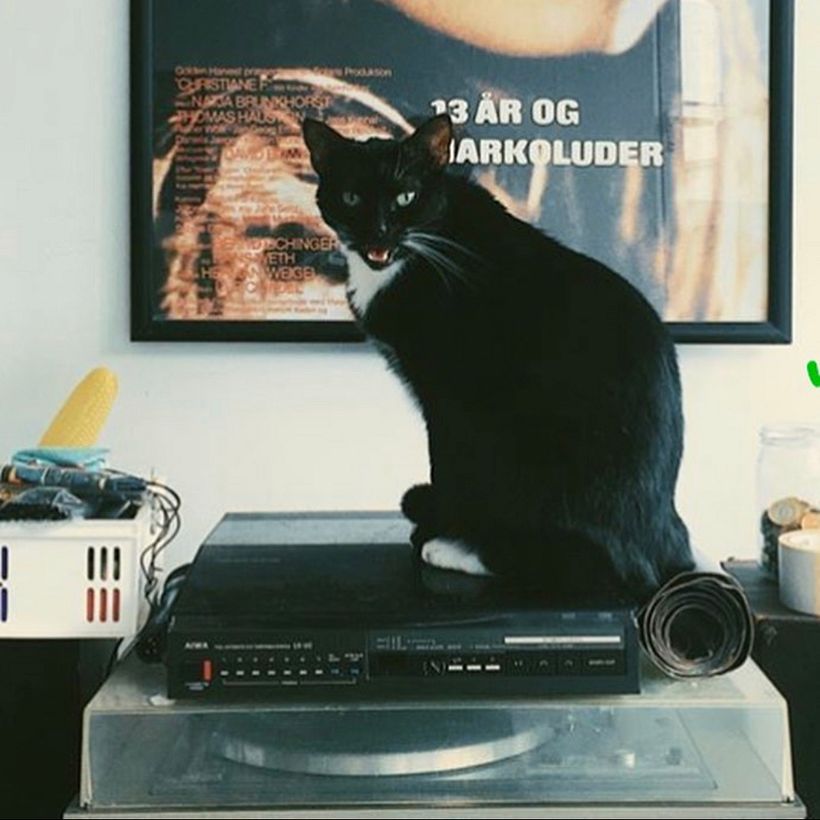 Barbi Recanati Poster 7