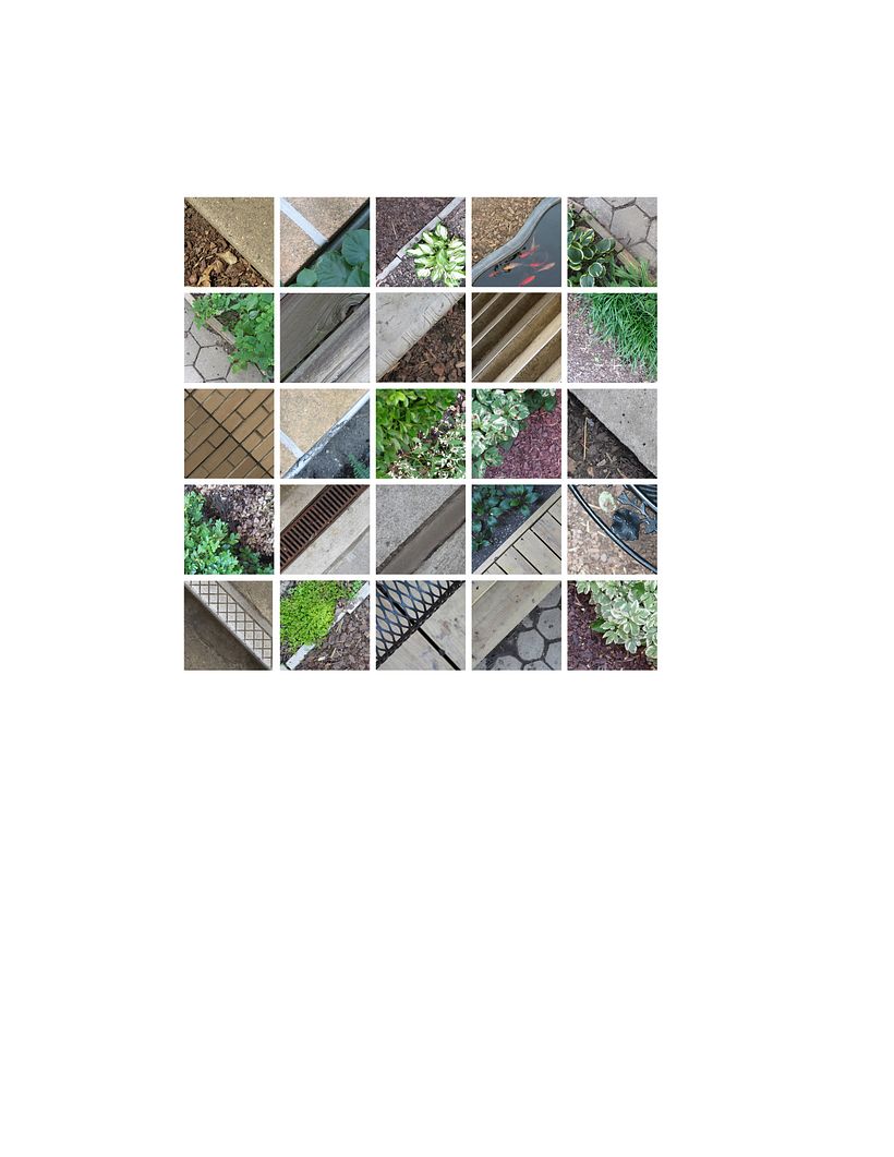 Lotus Borders 2