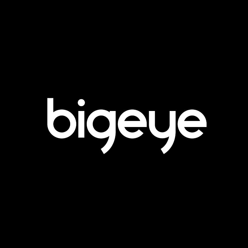 Bigeye Branding & Web Design 4