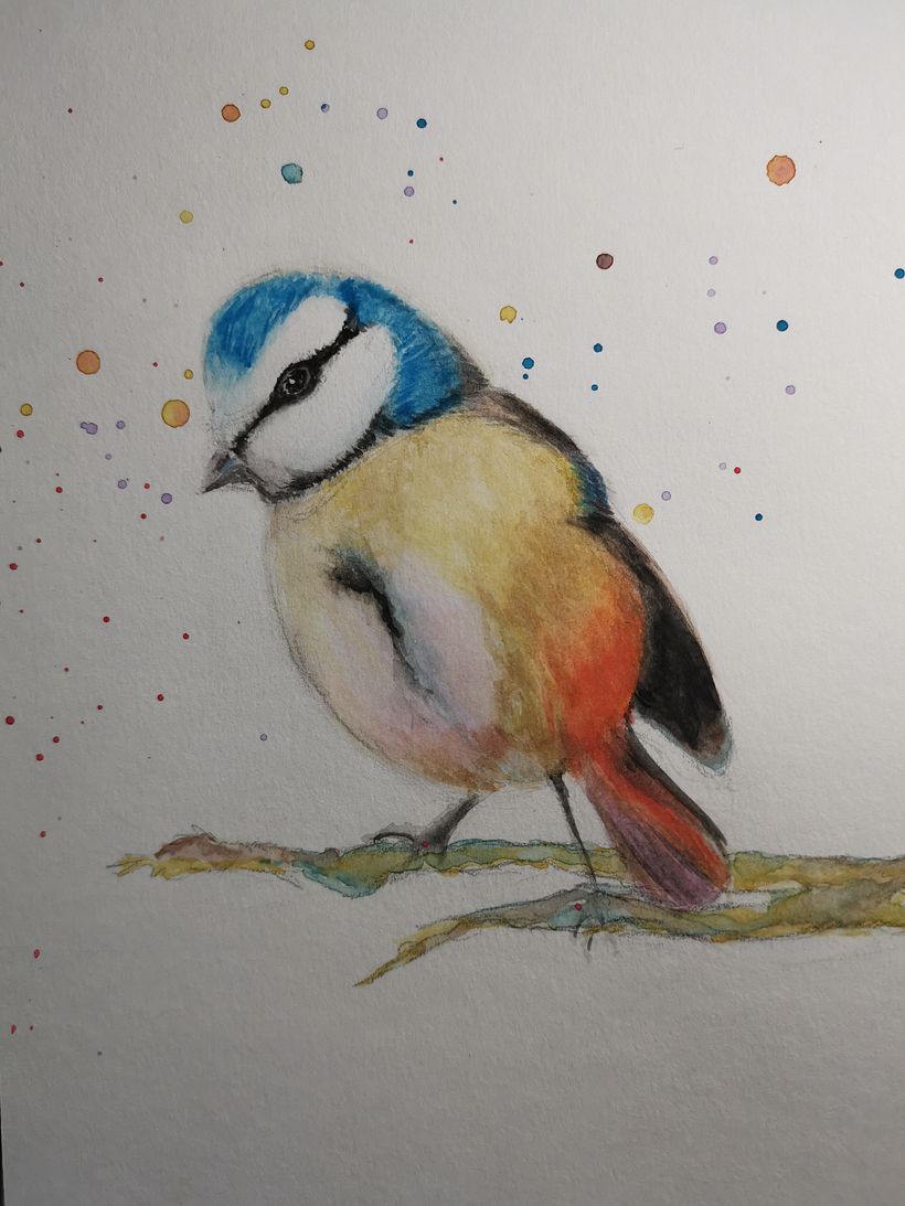 My project in Artistic Watercolor Techniques for Illustrating Birds course 3