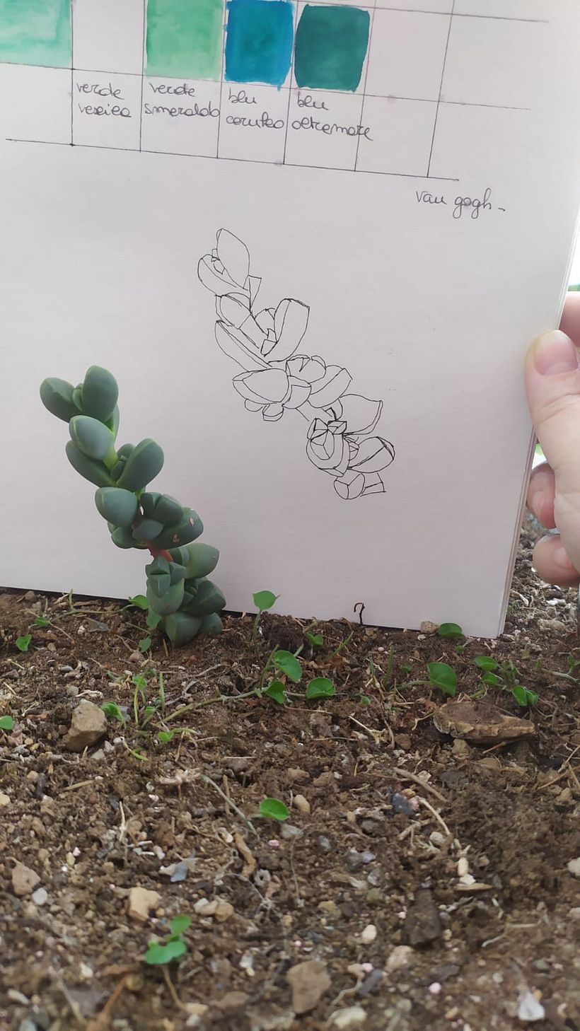Il mio progetto del corso:  Sketchbook botanico: un approccio meditativo 2