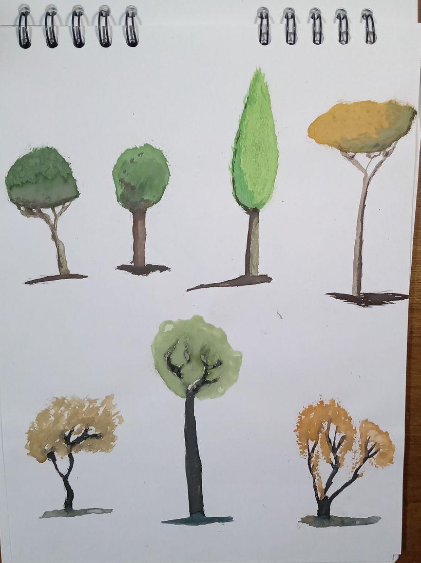 Mi Proyecto del curso: Dibujo para principiantes nivel -1 13