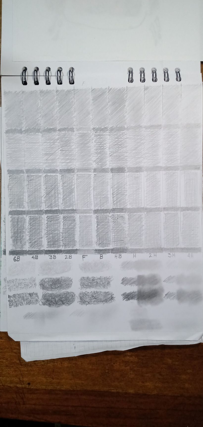 Mi Proyecto del curso: Dibujo para principiantes nivel -1 16