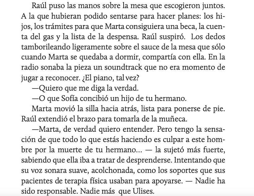 Fragment uit het gesprek met Raúl