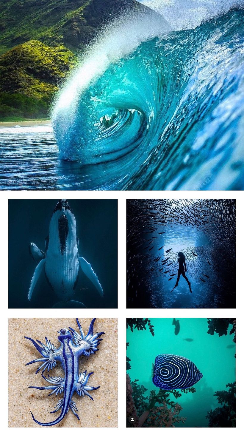 El mar como inspiración