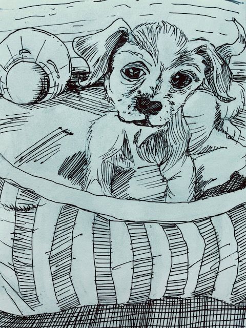 My project in Daily Sketching for Creative Inspiration course 23
