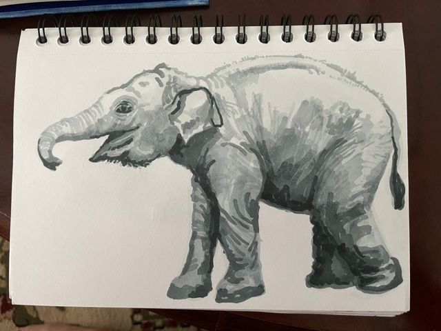 My project in Daily Sketching for Creative Inspiration course 39