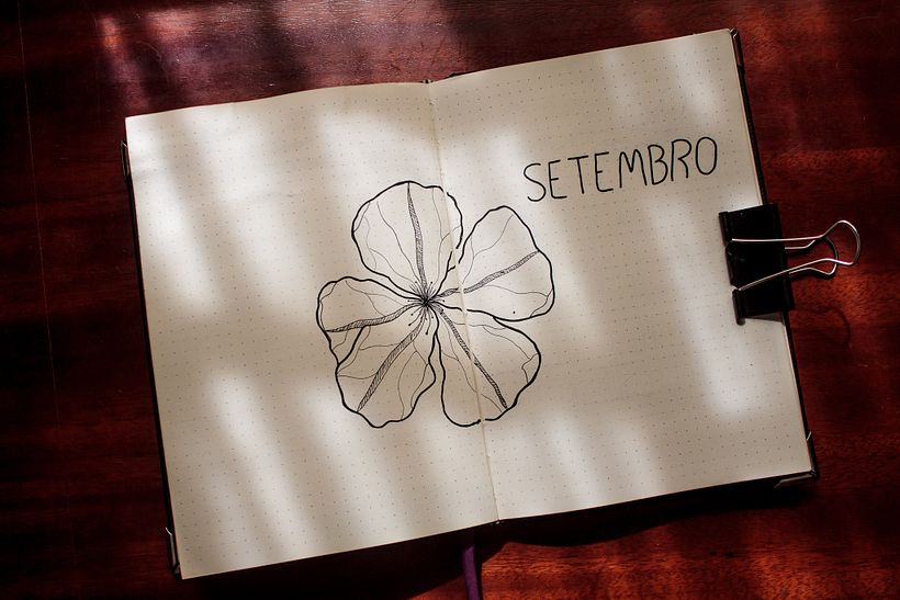 Meu projeto do curso: Introdução ao bullet journal ilustrado 1