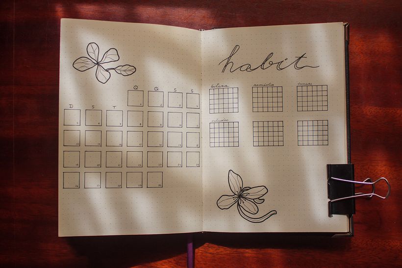 Meu projeto do curso: Introdução ao bullet journal ilustrado 2