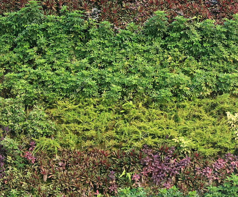 A vegetation texture included in the download.