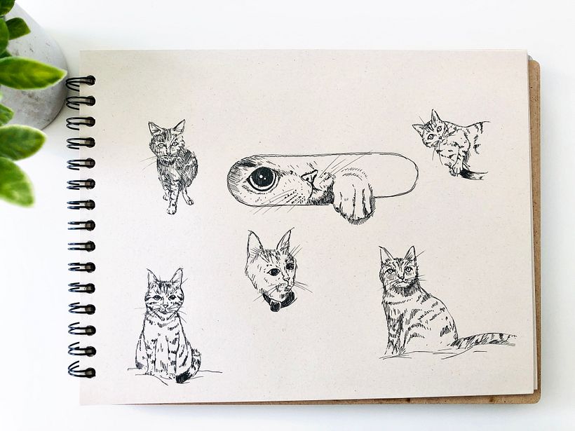 My project in Creative Drawing Techniques for Beginners course 22