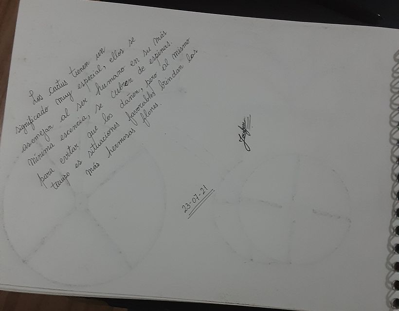 Mi Proyecto del curso: Dibujo para principiantes nivel -1 23