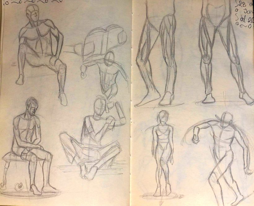 Practicas Anatómicas 1