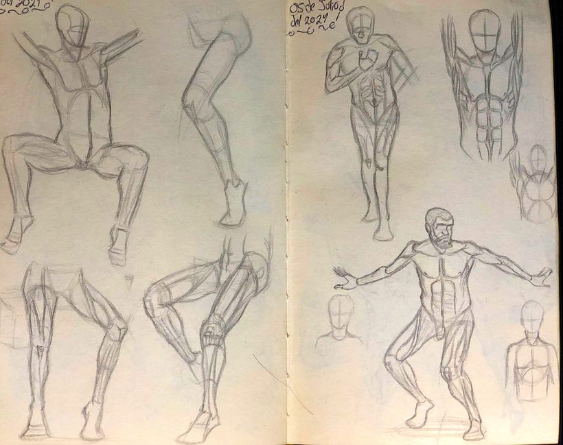 Practicas Anatómicas 2