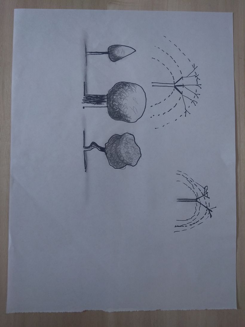 Proyecto final Lucas 2
