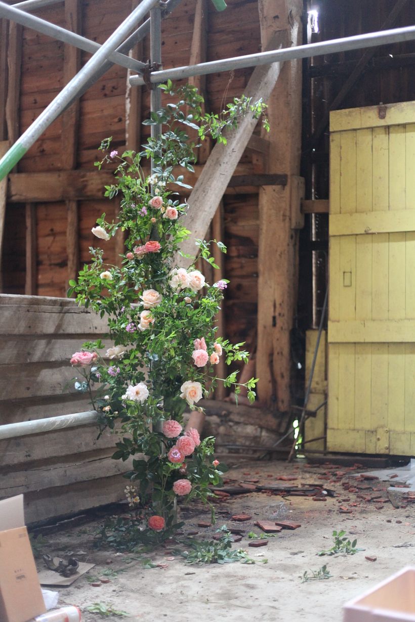 English Garden Rose broken arch in new studio space