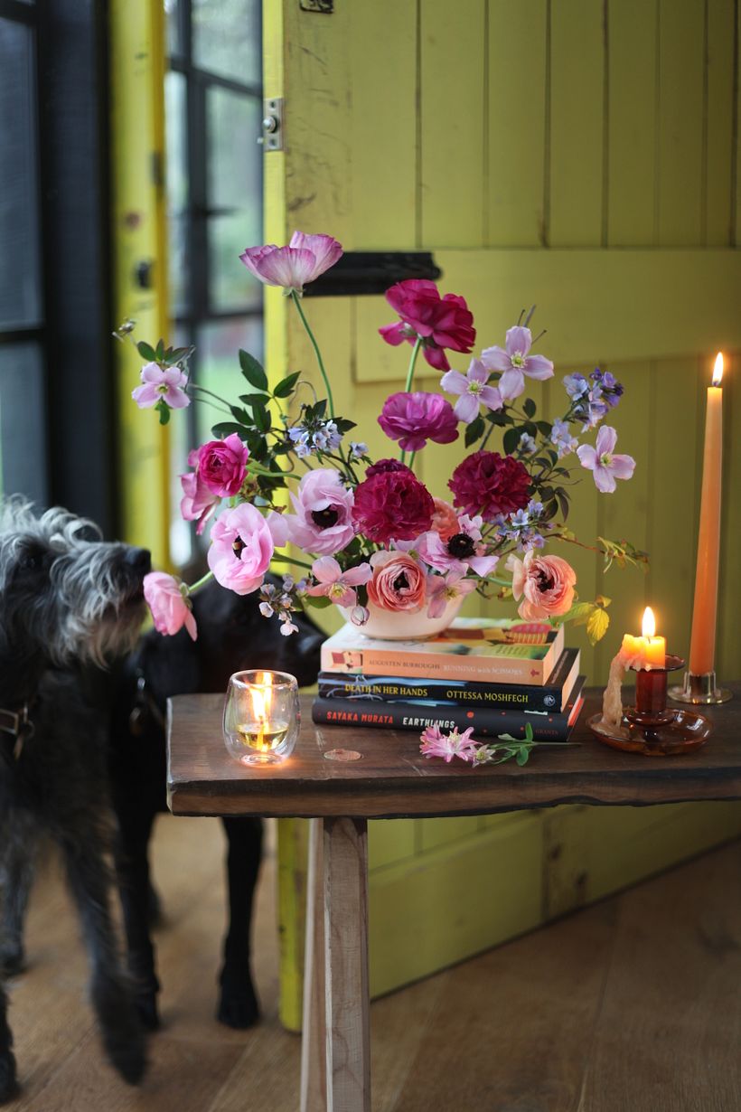 Styling work featuring the dogs Angelo and Frida