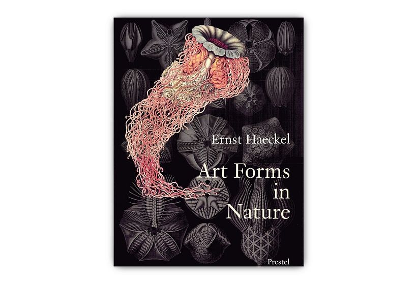 Art Forms in Nature, d'Ernst Haeckel, Dover Publications.