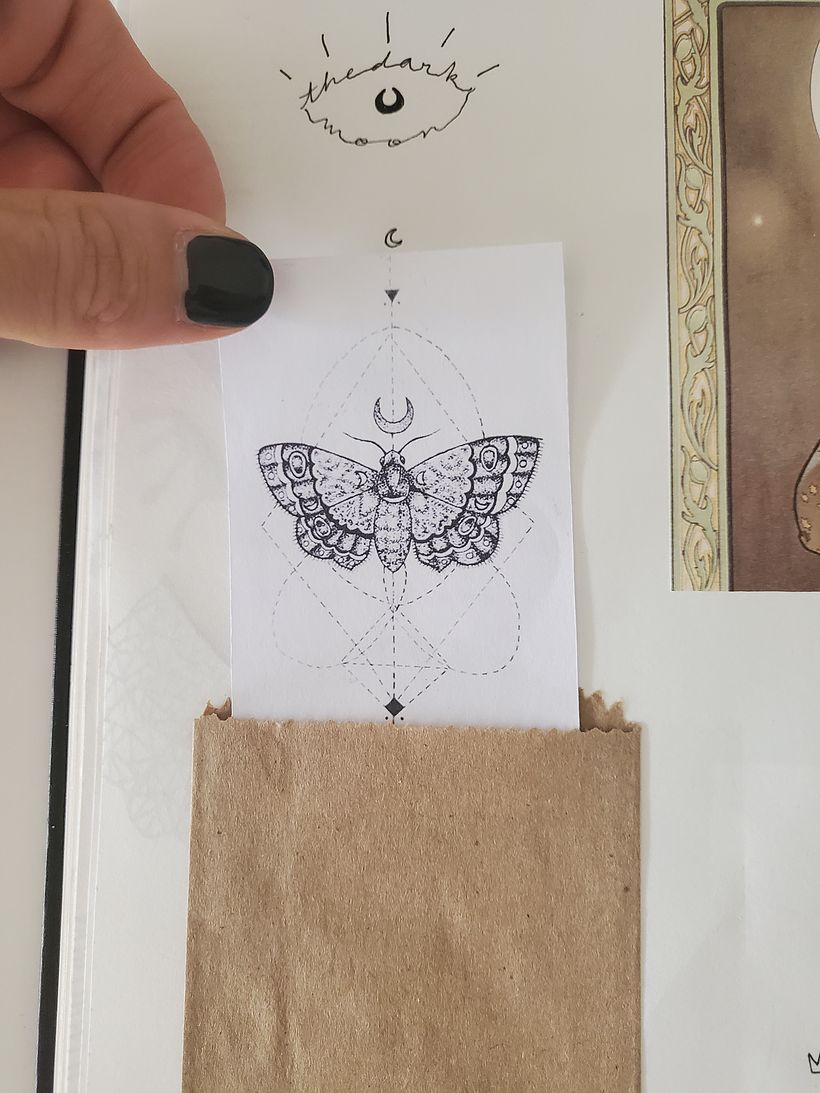 Inside a Creative Notebook : The Shadows Queen 4