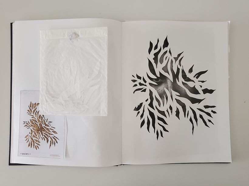 Inside a Creative Notebook : The Shadows Queen 10