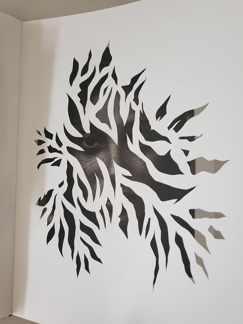 Inside a Creative Notebook : The Shadows Queen 11